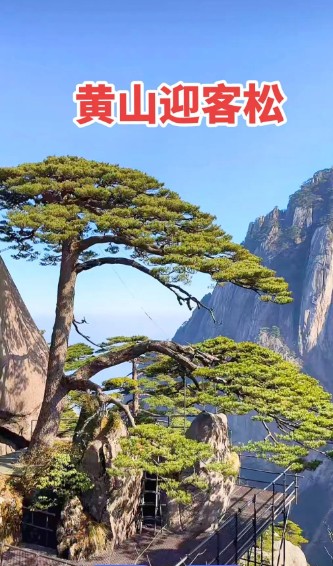 截图未命名.jpg