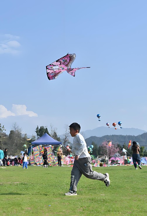截图未命名.jpg